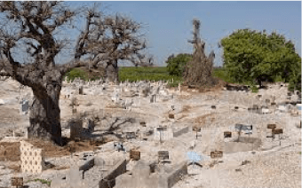 Vue du Cimetière de Fadiouth